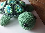 Schildkröte Alwi