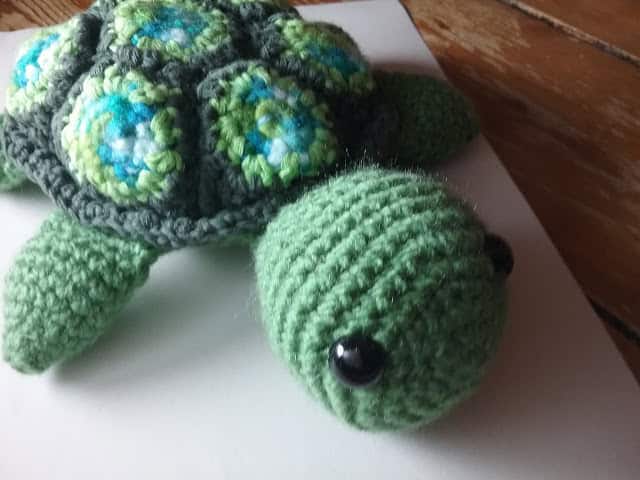 Schildkröte Alwi