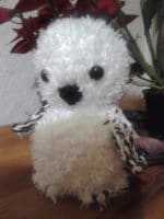 Schneeeule Jadwiga