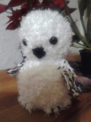 Schneeeule Jadwiga