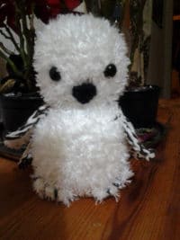 Schneeeule Jadwiga