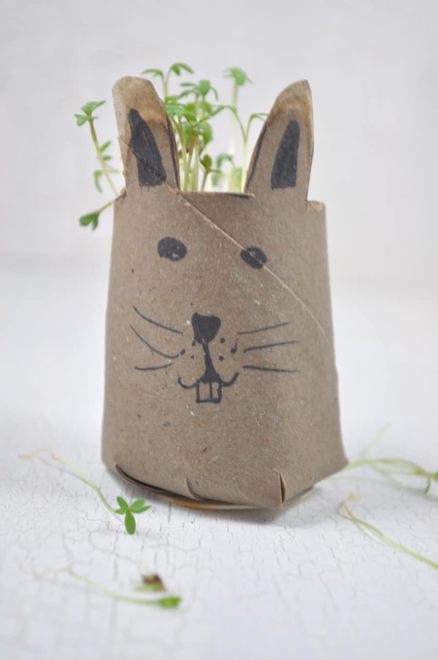 Kressehasen – Einfache DIY Idee