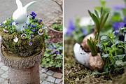 Der Hase im Nest – Moosnest selber bauen, bepflanzen und dekorieren