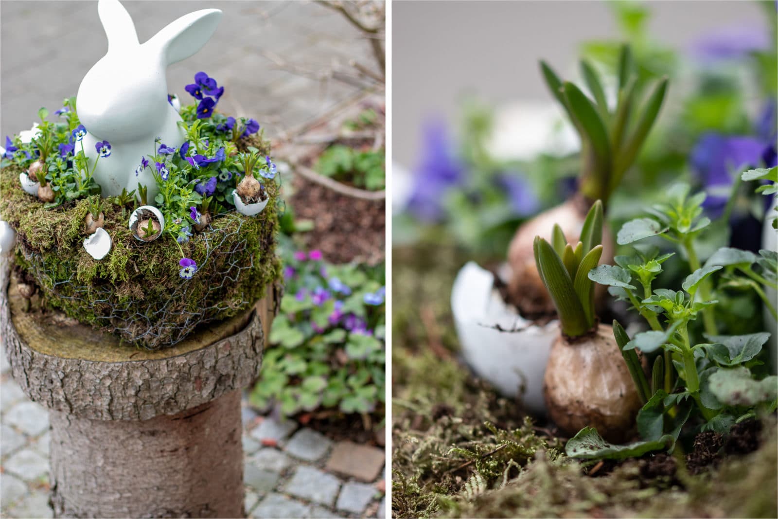 Der Hase im Nest – Moosnest selber bauen, bepflanzen und dekorieren