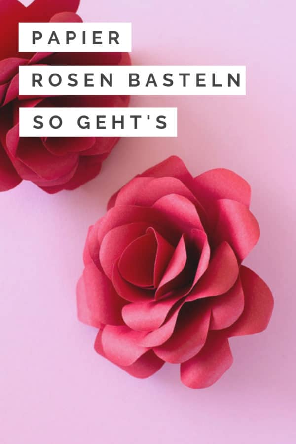 Rosen selber machen