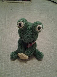 Frosch Jakob