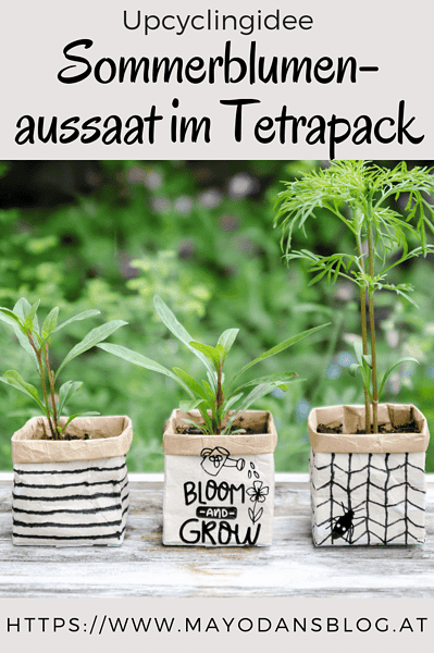 Upcyclingidee - Sommerblumenaussaat im Tetrapack