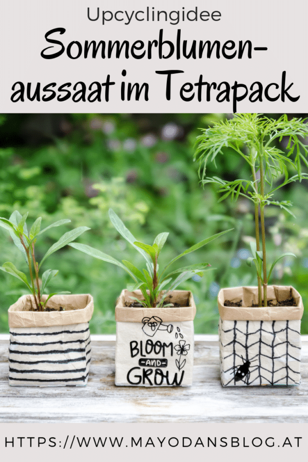 Upcyclingidee - Sommerblumenaussaat im Tetrapack