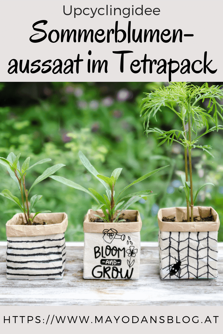 Upcyclingidee – Sommerblumenaussaat im Tetrapack