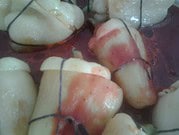 Kroatisch inspirierte gefüllte Paprikaschoten vegetarisch