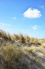 Große ZEELAND-Liebe – Tipps und Lieblingsadressen!