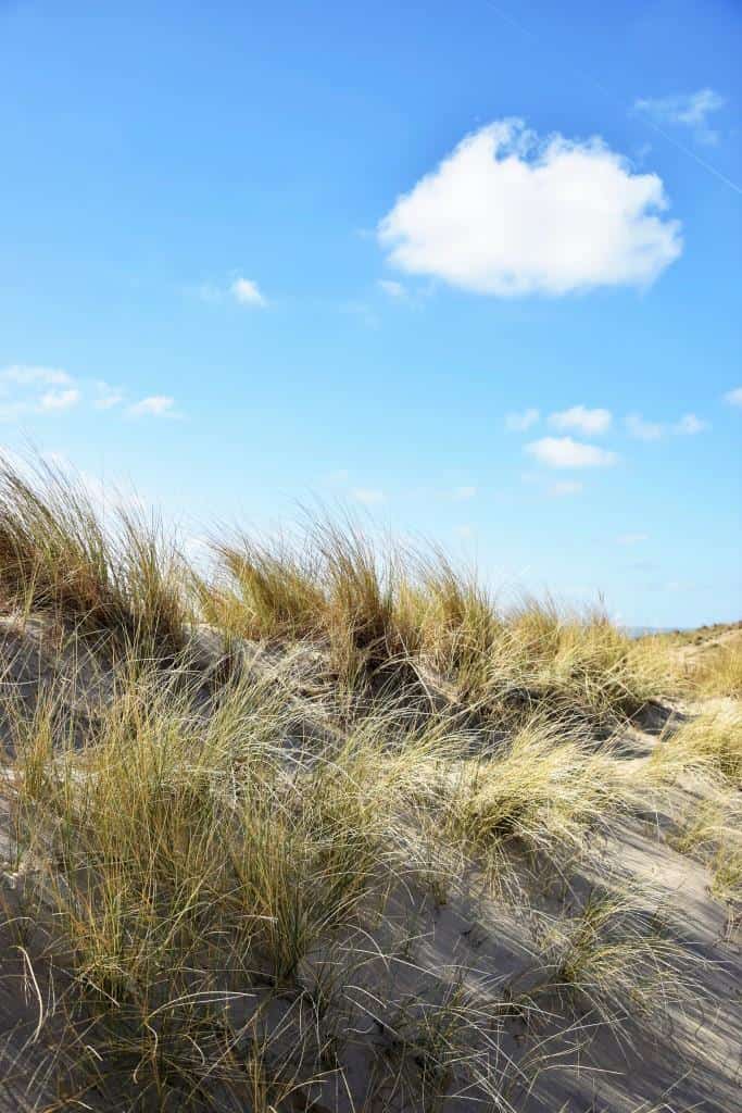 Große ZEELAND-Liebe – Tipps und Lieblingsadressen!