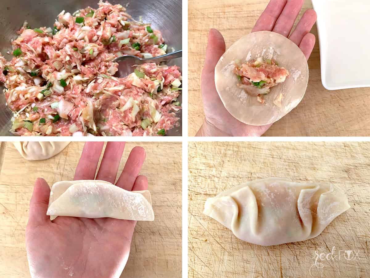Gyoza – japanische Maultaschen