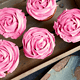 Rosen Cupcakes im Terracotta-Blumentopf