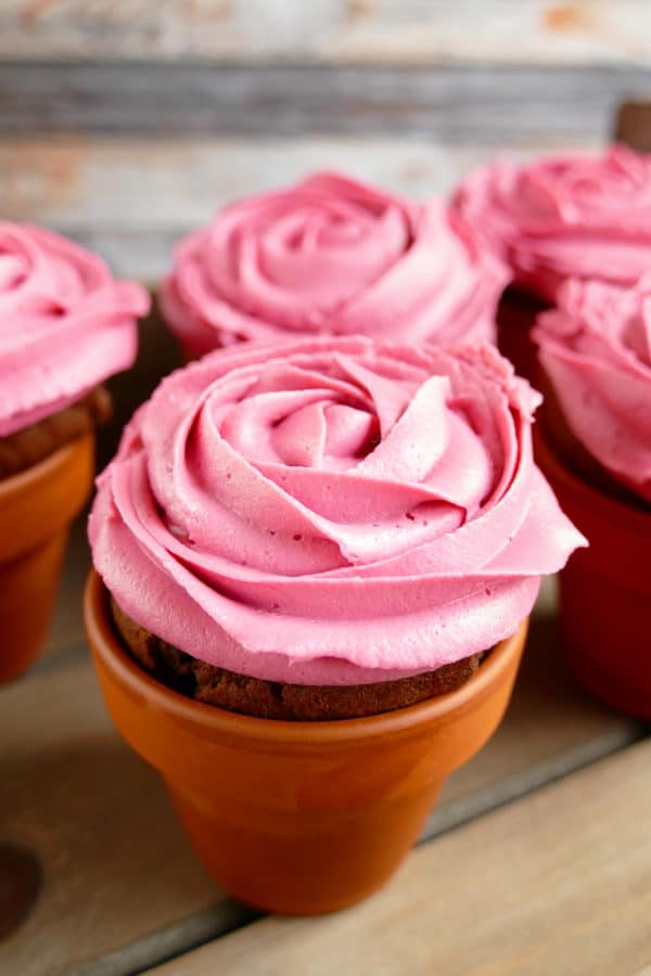 Rosen Cupcakes im Terracotta-Blumentopf