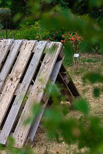 Hühner im Garten - Versteck aus Paletten bauen