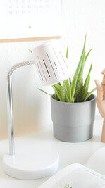 Drei DIY Ideen für trendige Lampen