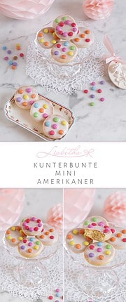 KUNTERBUNTE MINI AMERIKANER