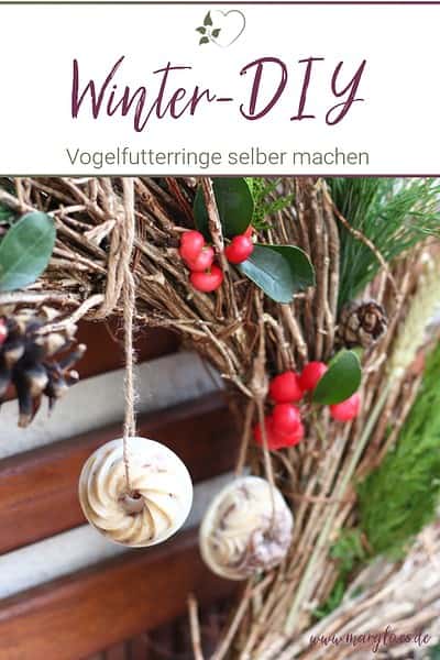 Winter-DIY: Vogelfutter selber machen