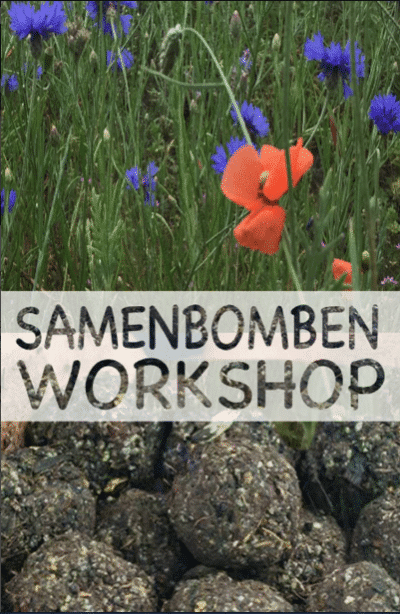 Samenbomben Workshop