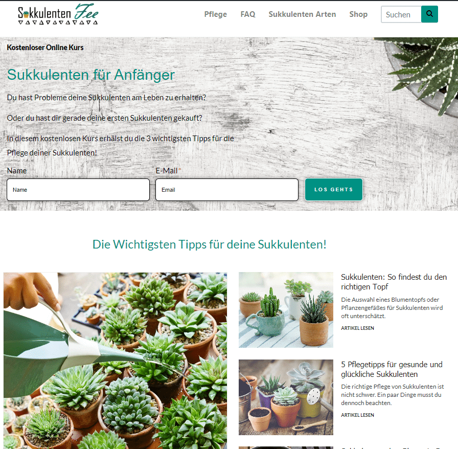 Sukkulentenfee
