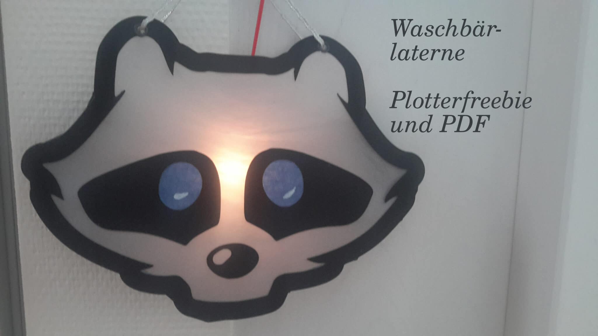 Laterne basteln – Waschbär