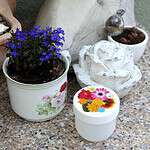 Upcycling – Dosen aufhübschen mit Collagen