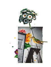 Vom Papierschnipsel zur Collage