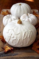 🍂 Happy Herbst mit weißen Kürbissen – Herbstdeko DIY: Kürbisse beschriften und weiß bemalen 🍂