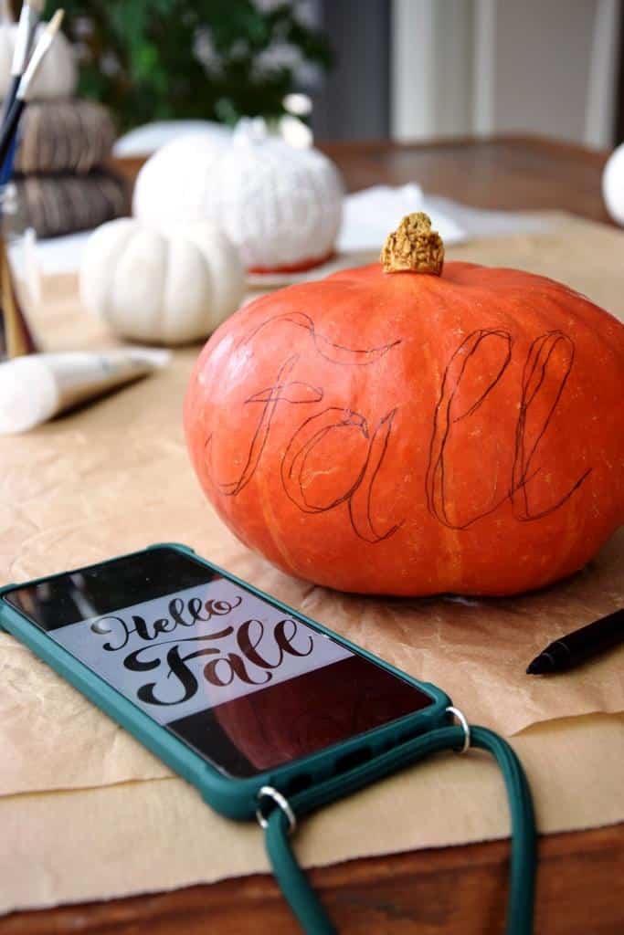 🍂 Happy Herbst mit weißen Kürbissen – Herbstdeko DIY: Kürbisse beschriften und weiß bemalen 🍂