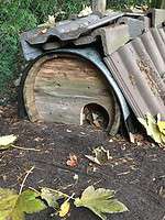 Igelhaus aus Spielpferd der Kinder