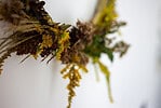Einfacher Herbst-Kranz – DIY in 15 Minuten