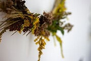 Einfacher Herbst-Kranz – DIY in 15 Minuten