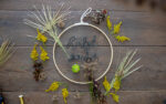 Einfacher Herbst-Kranz – DIY in 15 Minuten