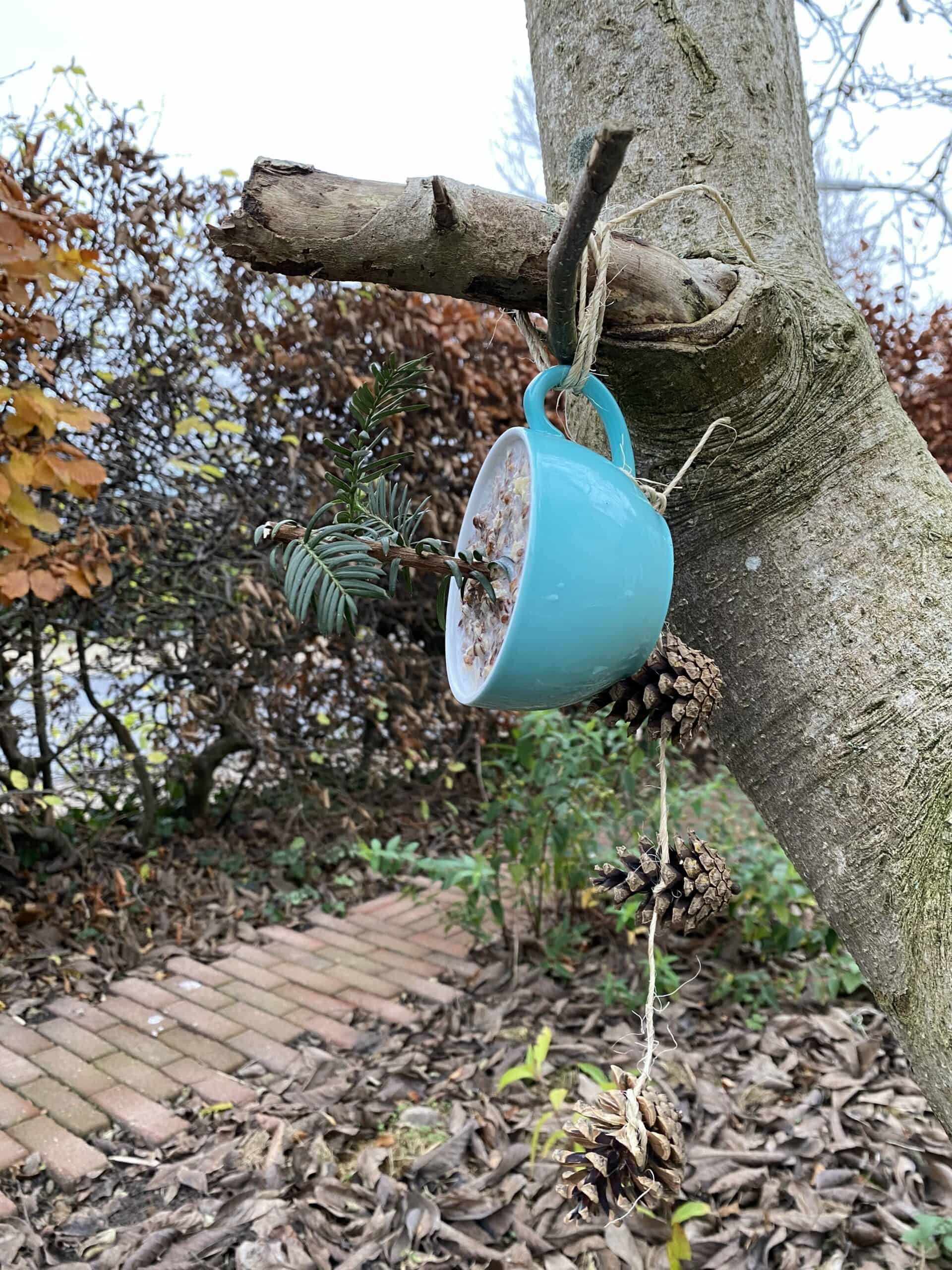 Vogelfutter selbstgemacht