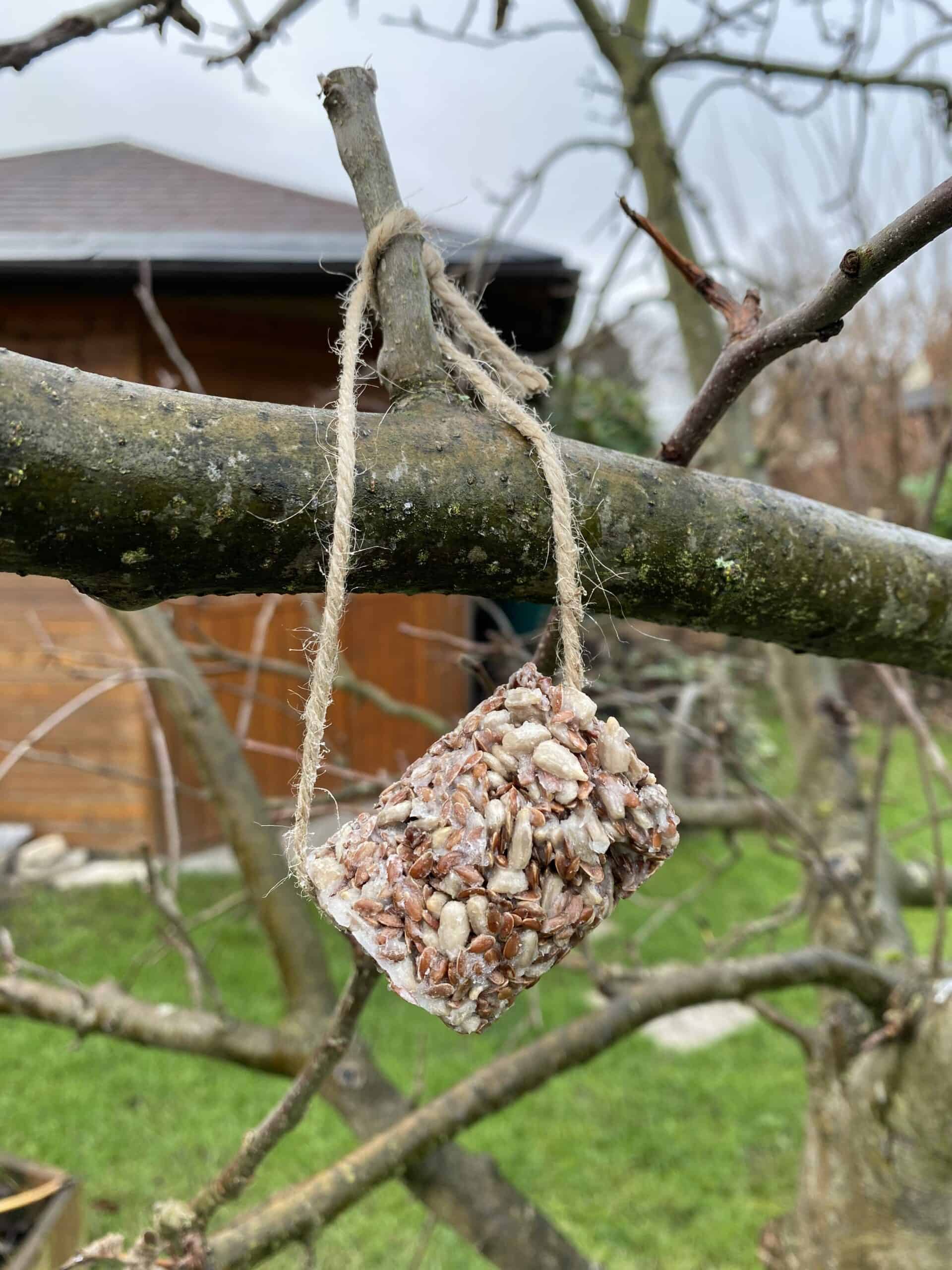Vogelfutter selbstgemacht