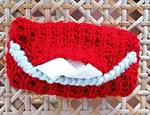 DIY Behälter für Taschentücher,  gestrickt