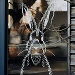 Ostergrüße auf dem Fenster mit Vorlage