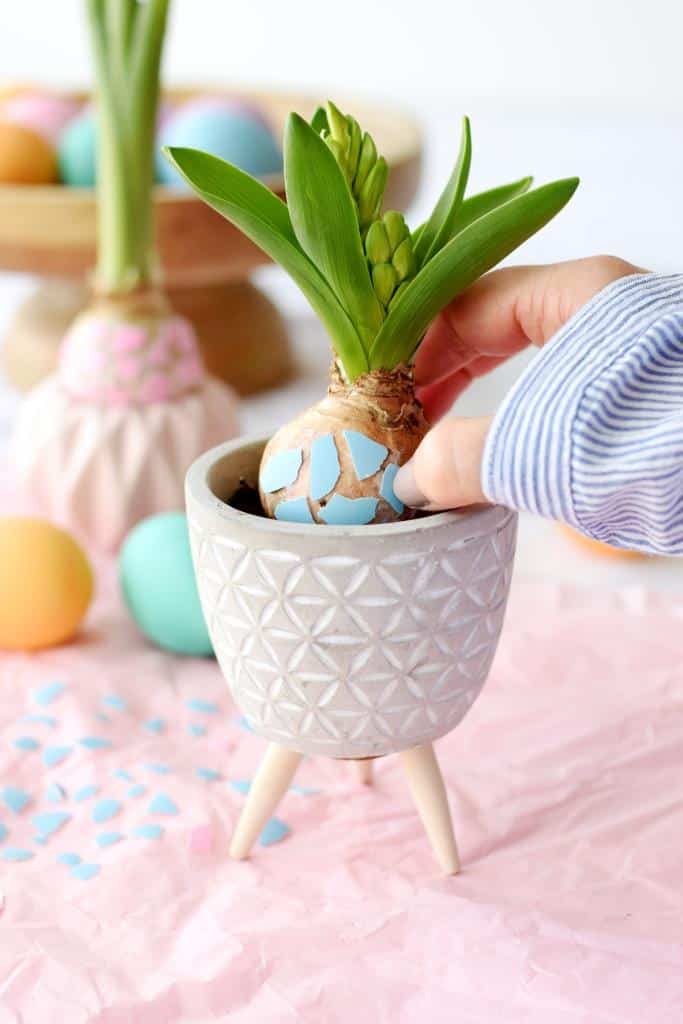 Wenn Dir das Leben angeknackste Ostereier gibt, mach einfach ’ne coole Frühlingsdeko draus: Mosaik-Hyazinthen
