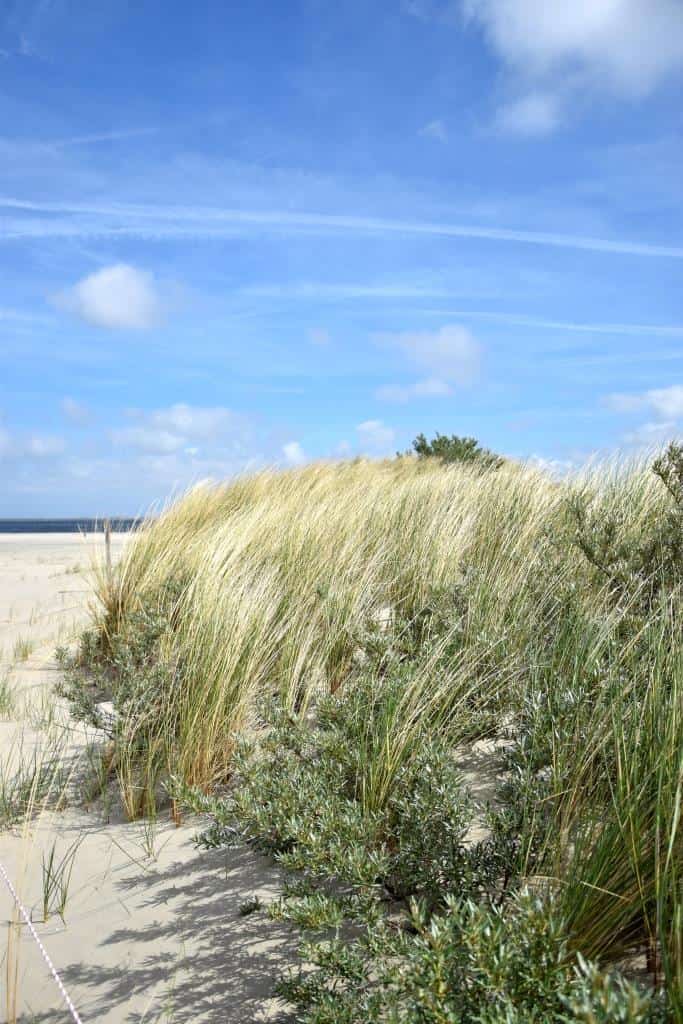 ⚓ Große Hollandliebe: Eine kleine Auszeit am Meer in Zeeland ⚓