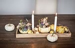 Kürbisse im Blickfang – eine schnelle Herbstdeko für draußen oder drinnen