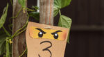 Ninjago Geburtstag: Torte, Deko und Einladungskarte für das Ninja-Fest