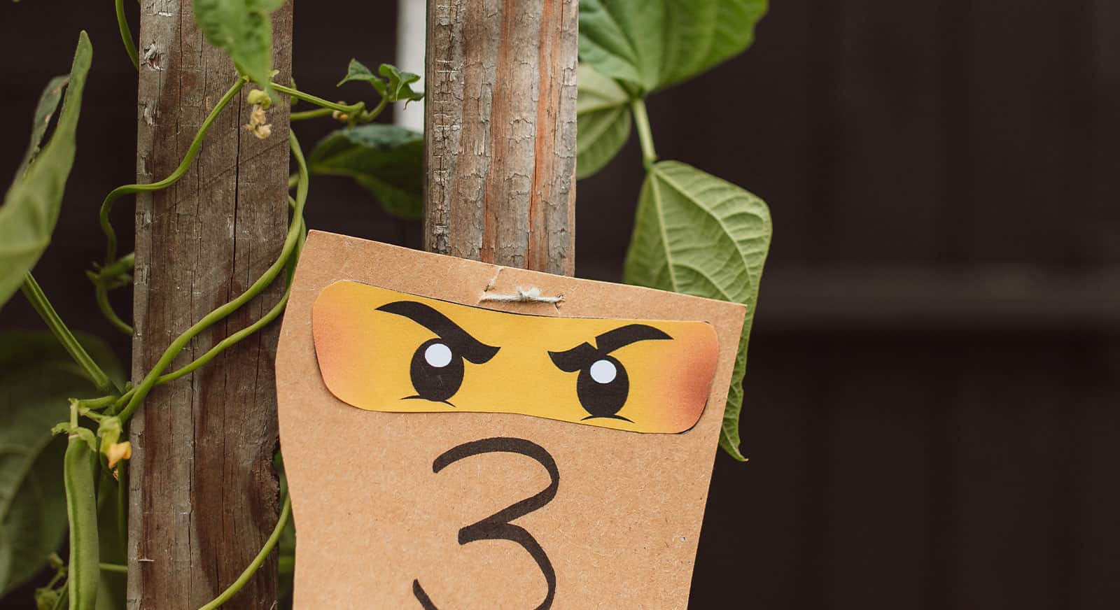 Ninjago Geburtstag: Torte, Deko und Einladungskarte für das Ninja-Fest
