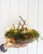 DIY Leuchtpilze – Leuchtende Pilze basteln