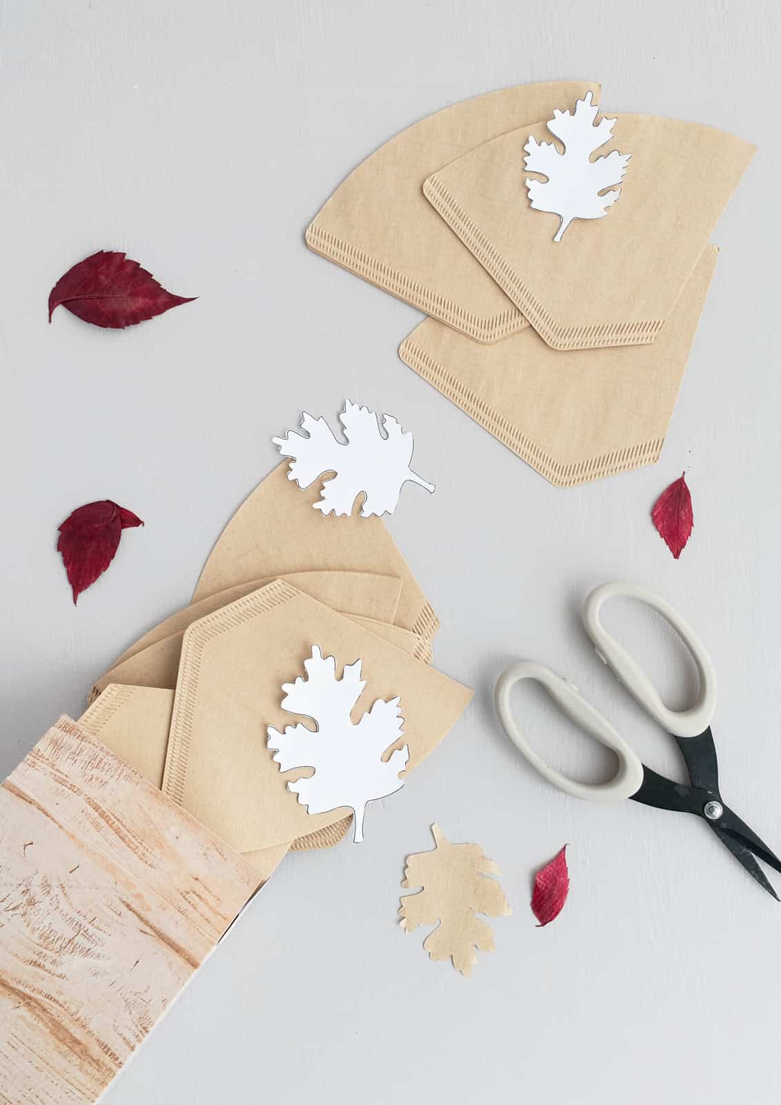 Herbstlaub das ewig hält: Blätter aus Kaffeefilter