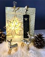 Geldgeschenk zu Weihnachten/ Verpackungs- DIY