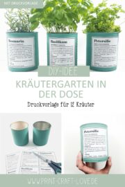 Upcycling DIY: Kräutergarten in der Dose