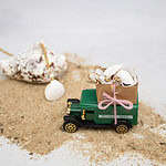 Muschelschmuck