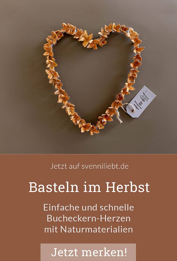 Basteln im Herbst mit Naturmaterialien: einfache und schnelle Bucheckern-Herzen