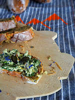 Bärlauch Wissen to go und leckere Rezepte